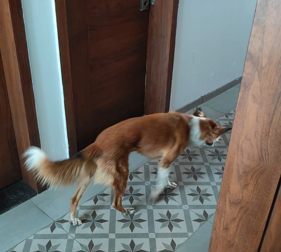 派拉蒙河滨水疗度假村主图