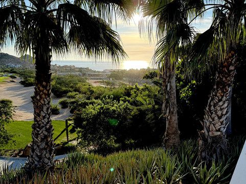 Ánima Village-卡波圣卢卡斯必去景点