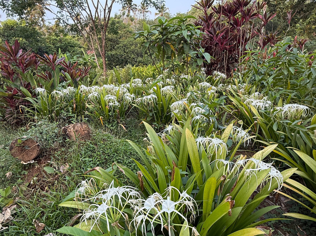 温德米尔河之家旅馆主图