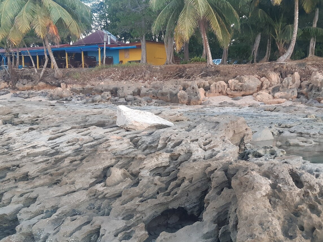 Plage Cluny-Sainte Rose必去景点