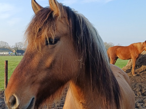 De Smulhoeve-卡特斯维尔必去景点