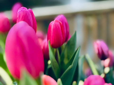 Tulleys-Turners Hill必去景点