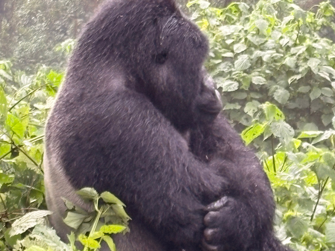 RAW Africa Eco Tours-威廉斯镇必去景点