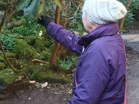 Belsay Hall Castle And Gardens-Belsay必去景点