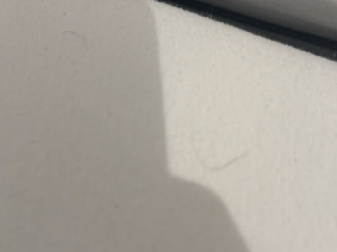 Eikre Fjellgård主图