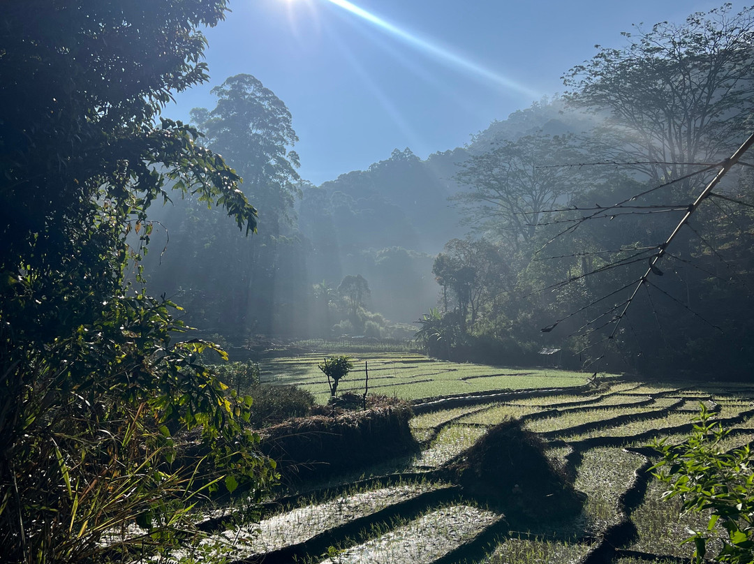 The Gilded Isle Lanka Tours-Melsiripura必去景点