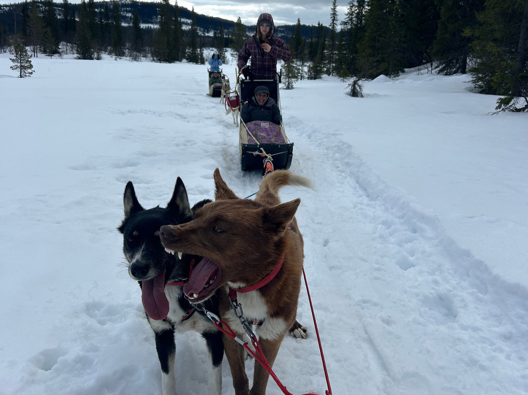 Beito Husky Tours Day Tours-Beito必去景点