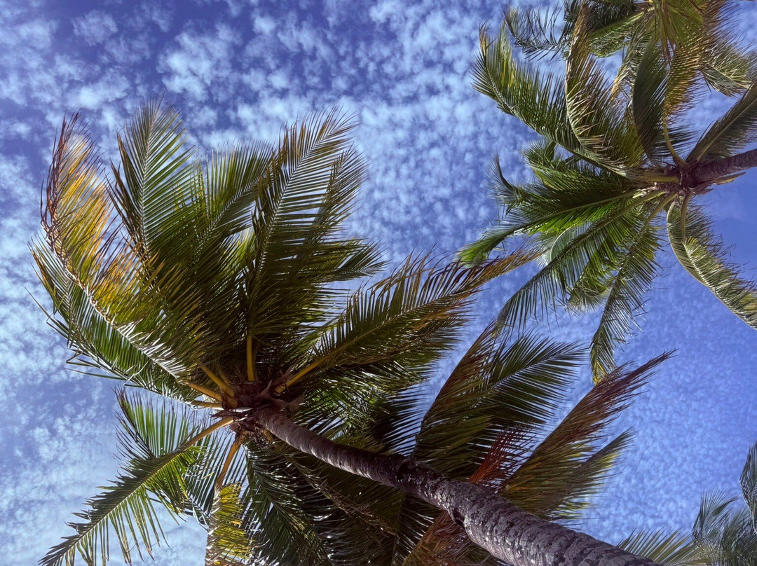 土龙沙滩-阿范特拉斯港必去景点