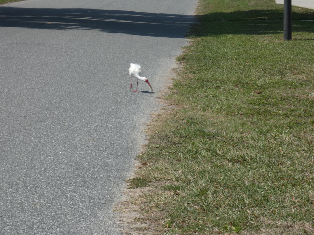 Griffin Stormwater Park-Howey in the Hills必去景点