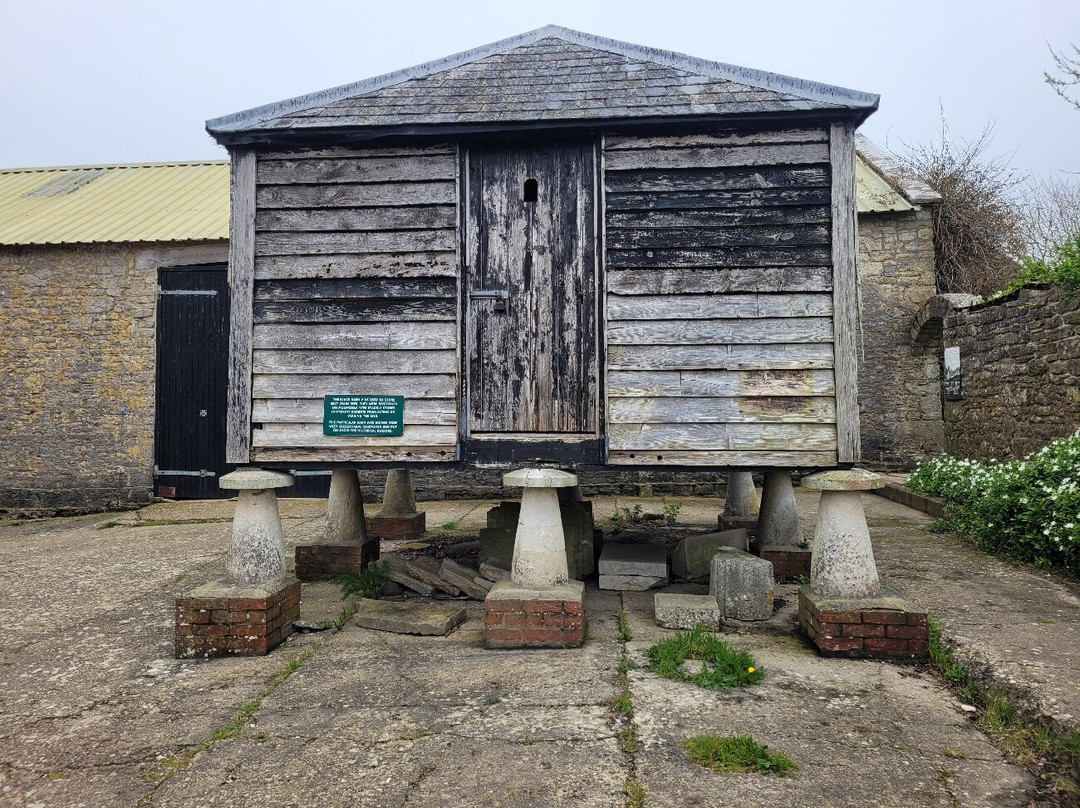 Tyneham Village and Flower's Barrow Walk-Tyneham必去景点