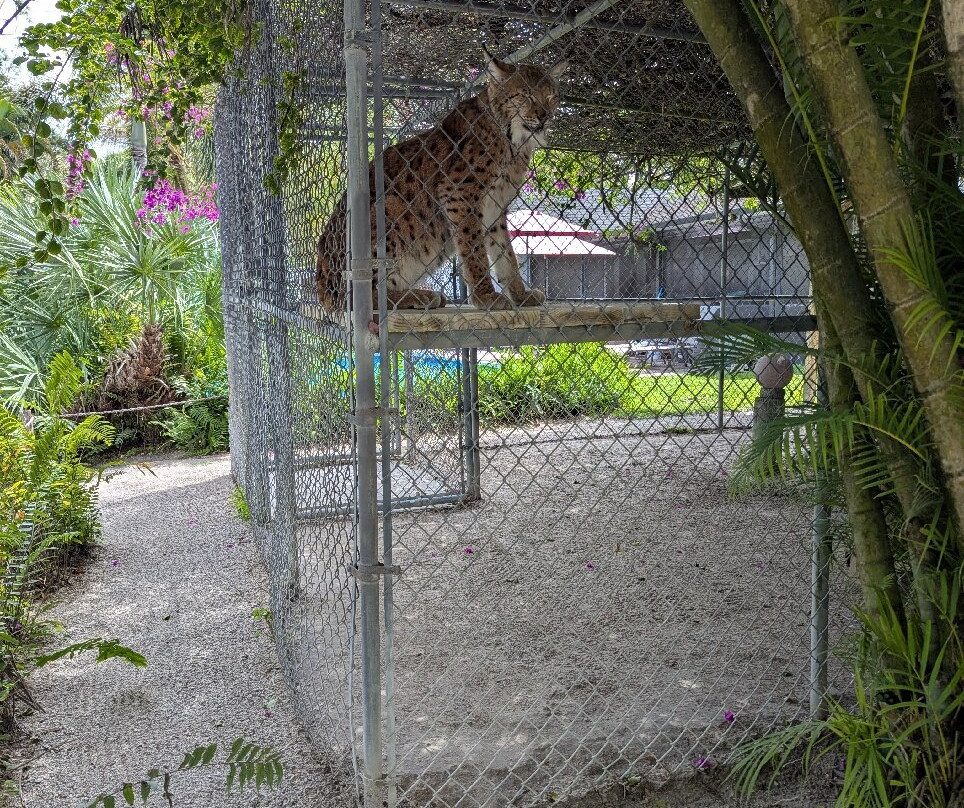 McCarthy's Wildlife Sanctuary-西棕榈滩必去景点