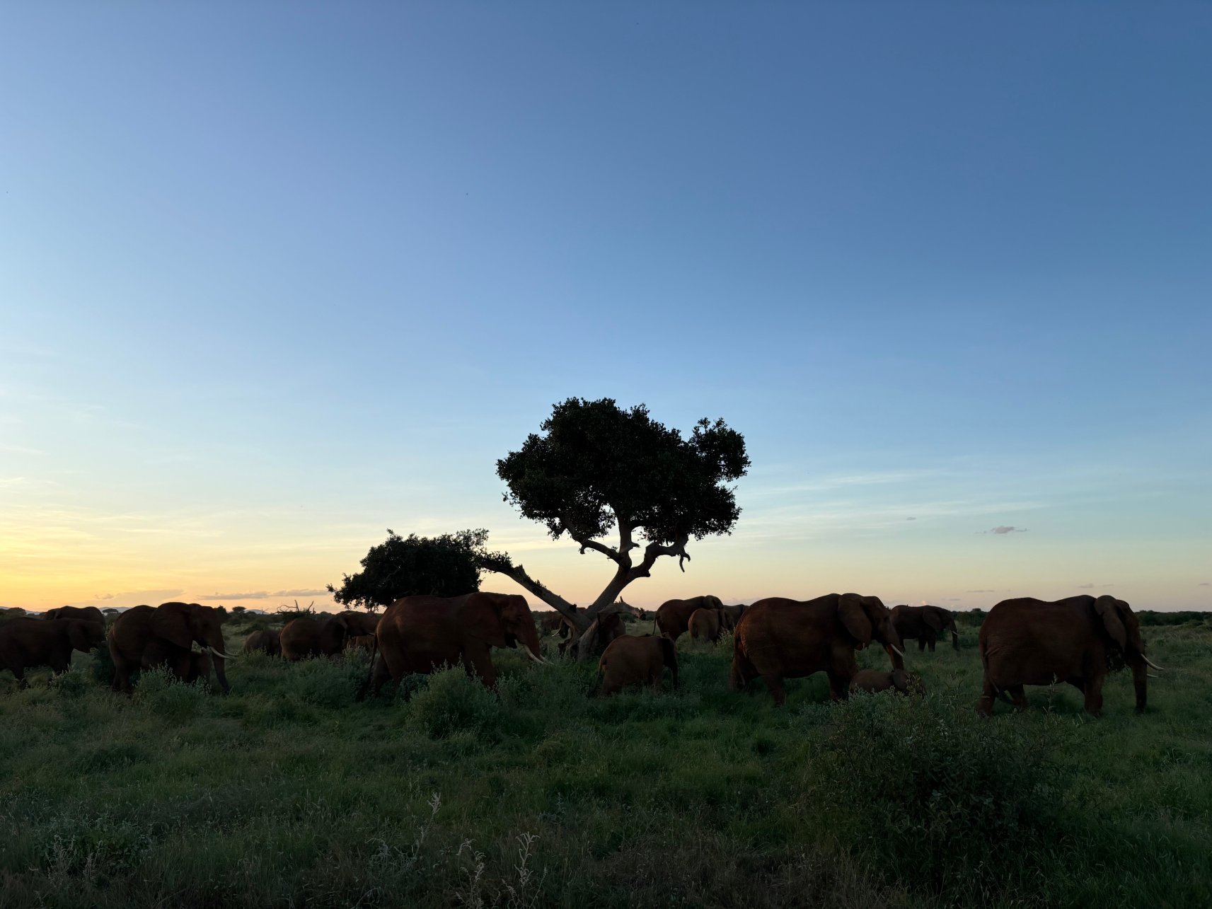 森特里姆察沃东营舍-官方