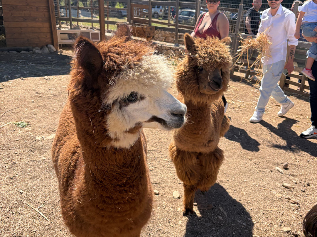 Rifugio Domo Mea-Olmedo必去景点