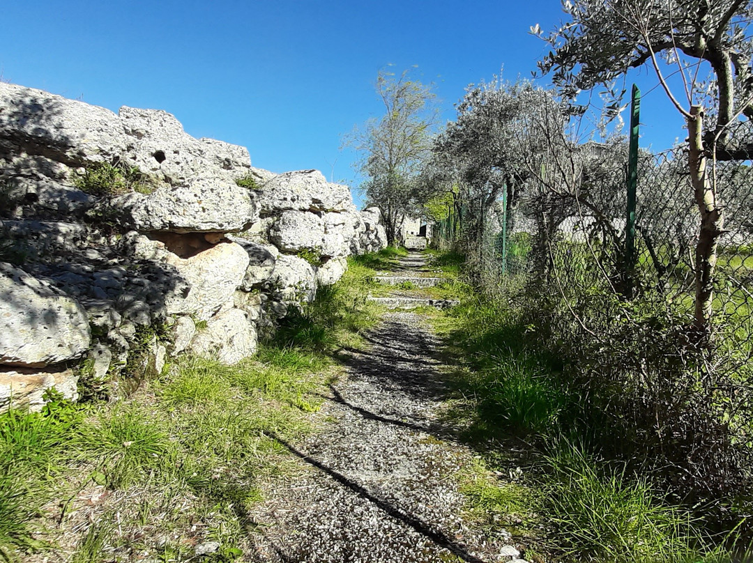 L'Acropoli di Civitavecchia-Arpino必去景点
