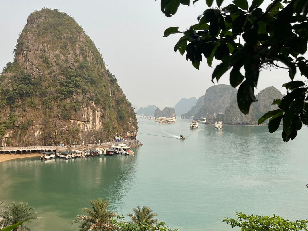 Aime'e Cruises-Quang Ninh必去景点