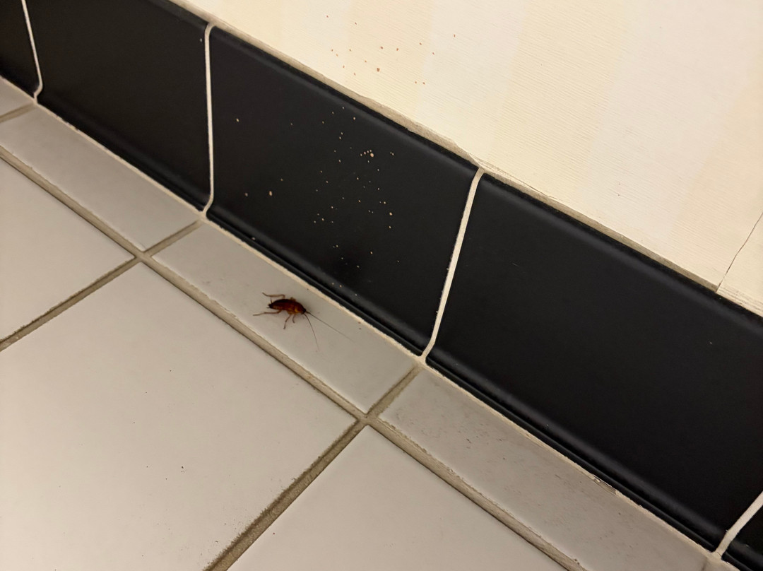 万豪万枫威德福酒店主图