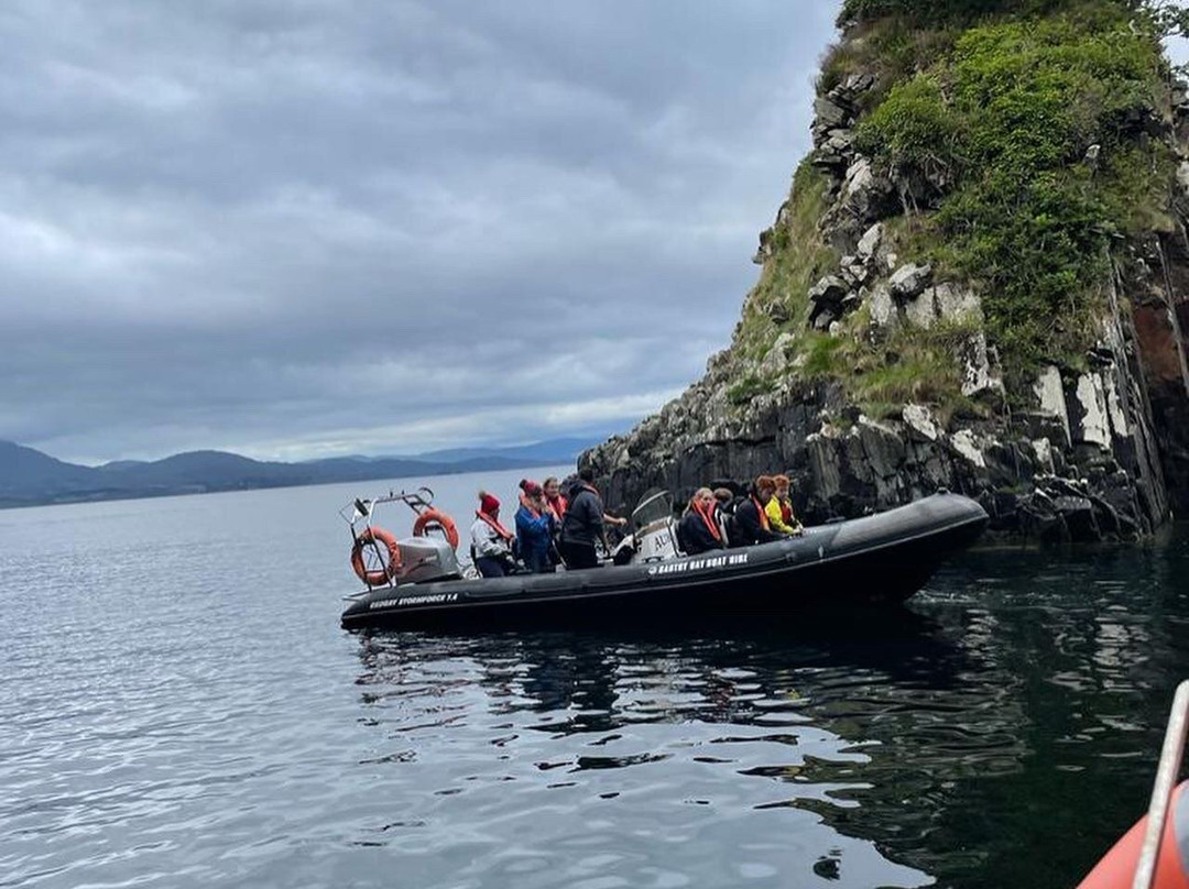 Bantry Sea Safari & Rentals-Bantry必去景点