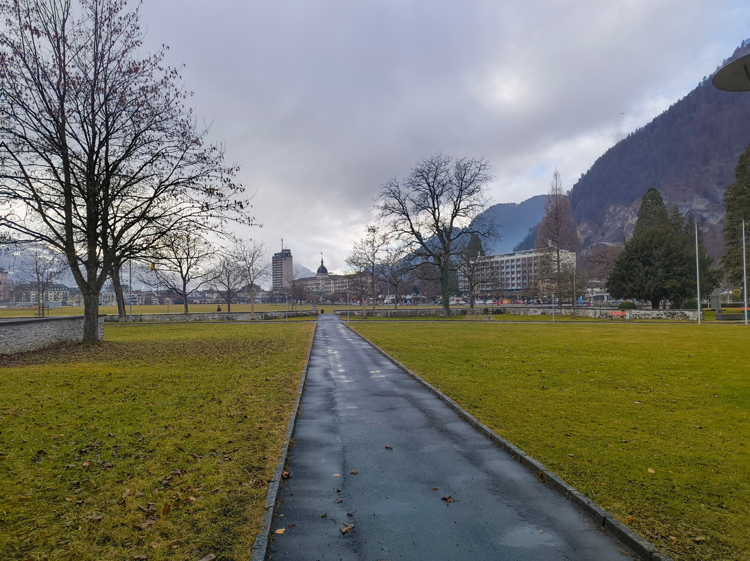 Hohematte Park-因特拉肯必去景点