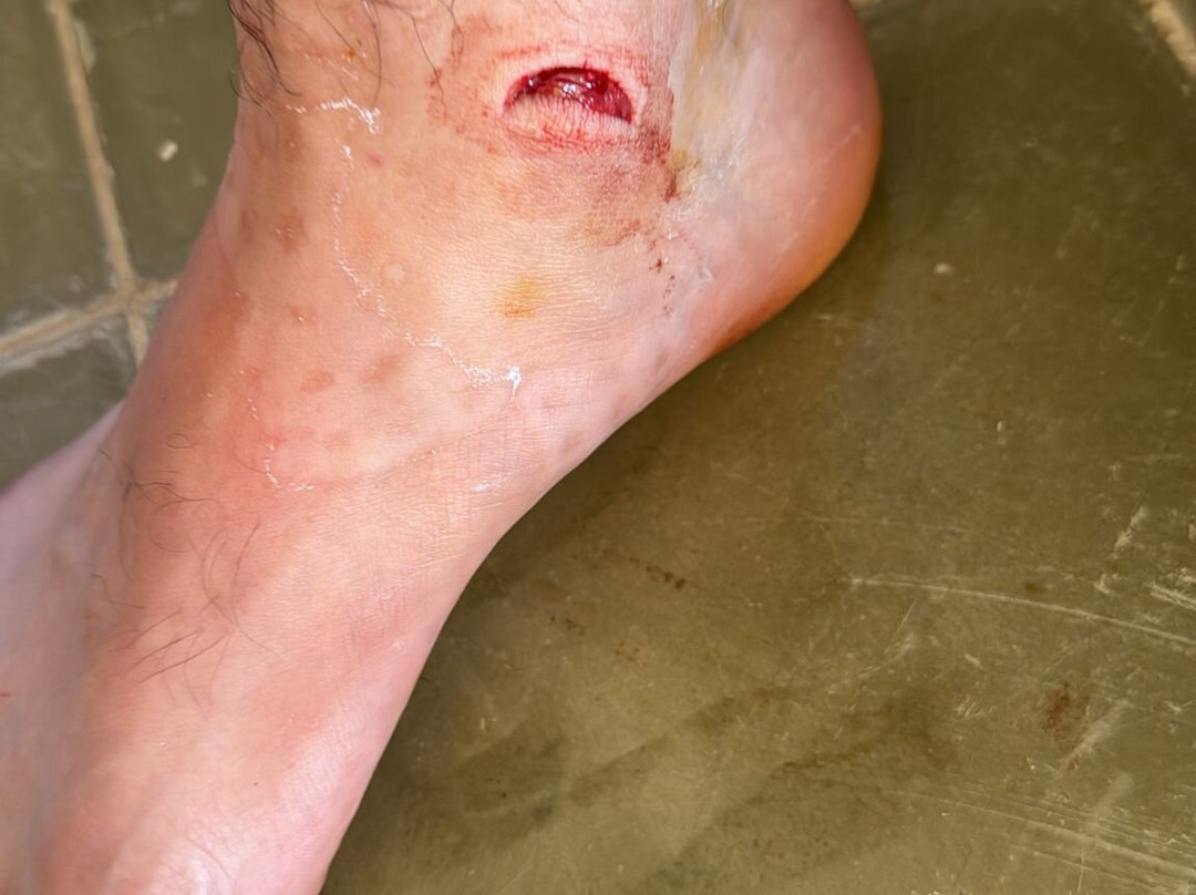 Les Jardins de Villa Maroc主图