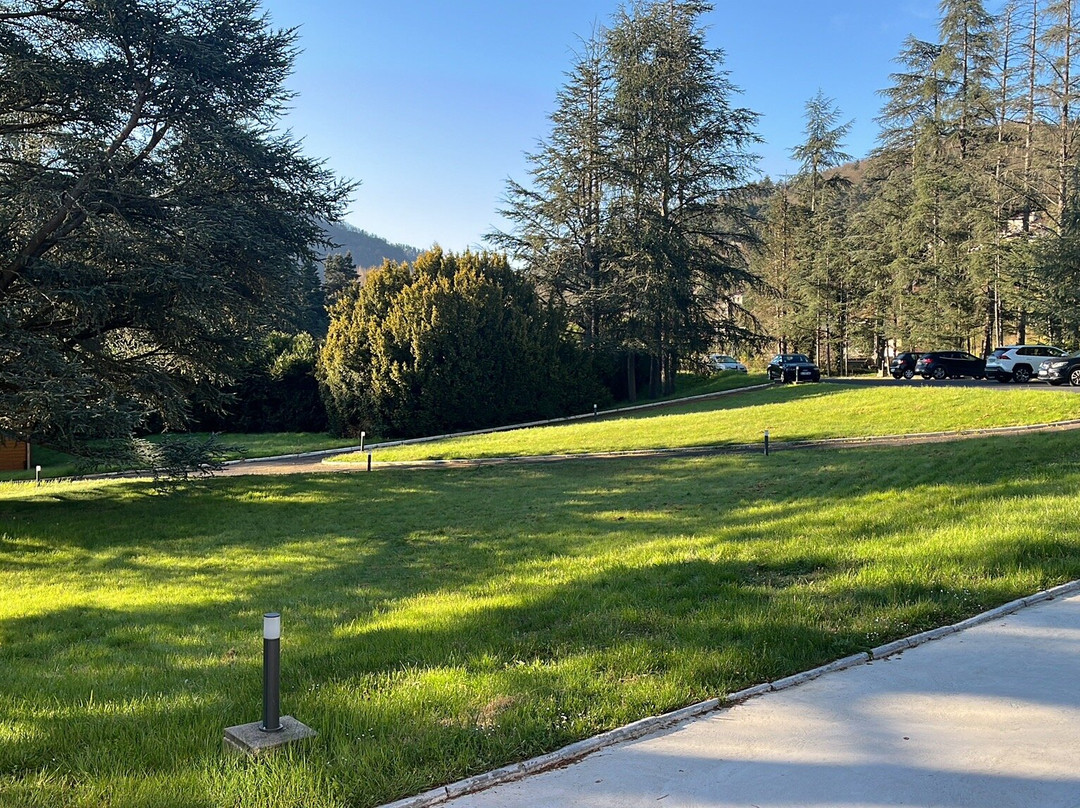 瑟德雷斯布鲁之家酒店主图