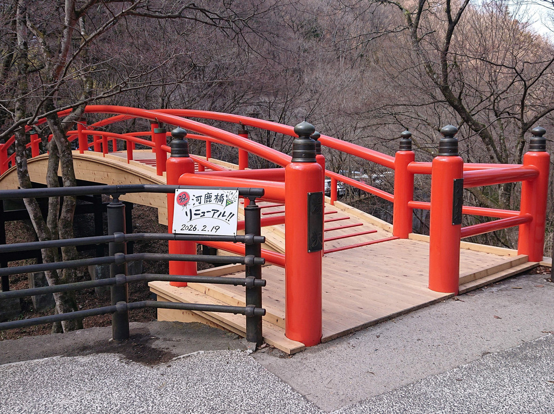 Kajikabashi-涩川市必去景点