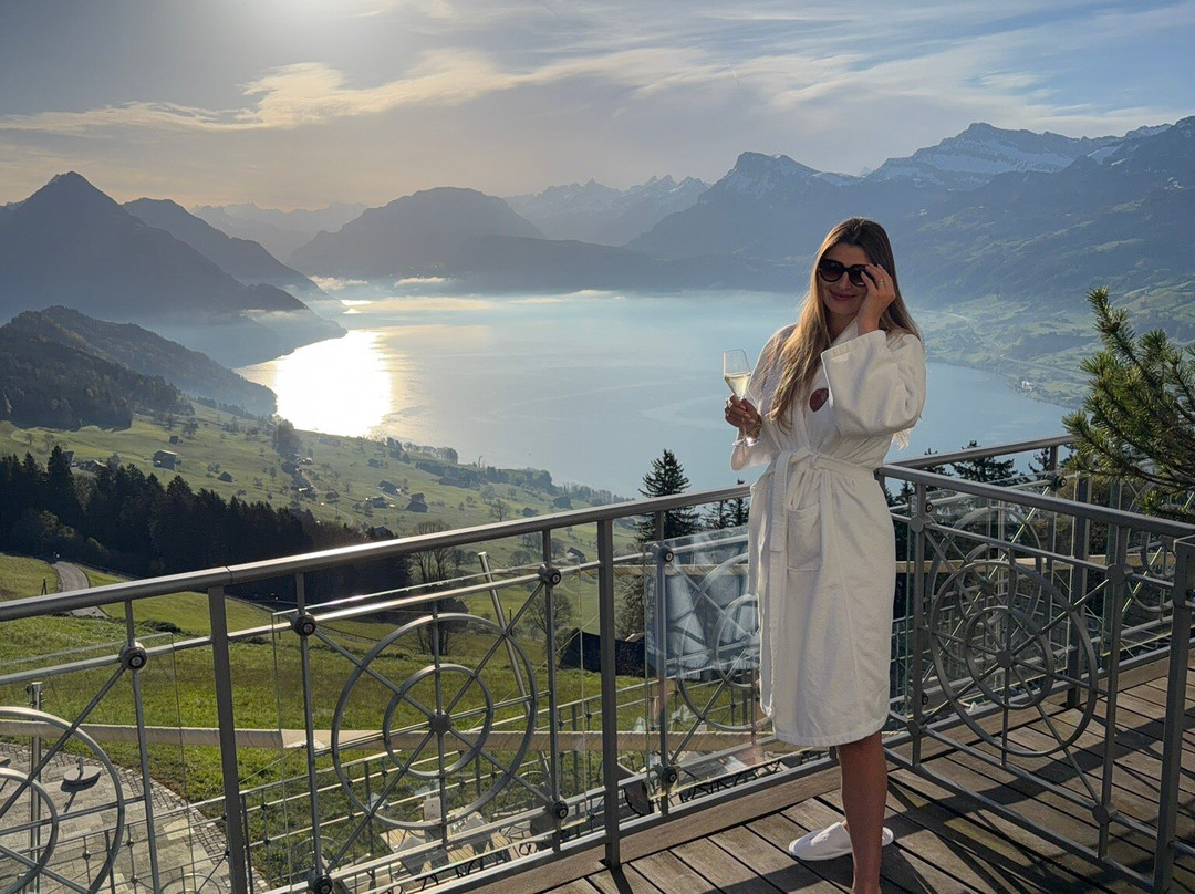 霍尼格别墅主图