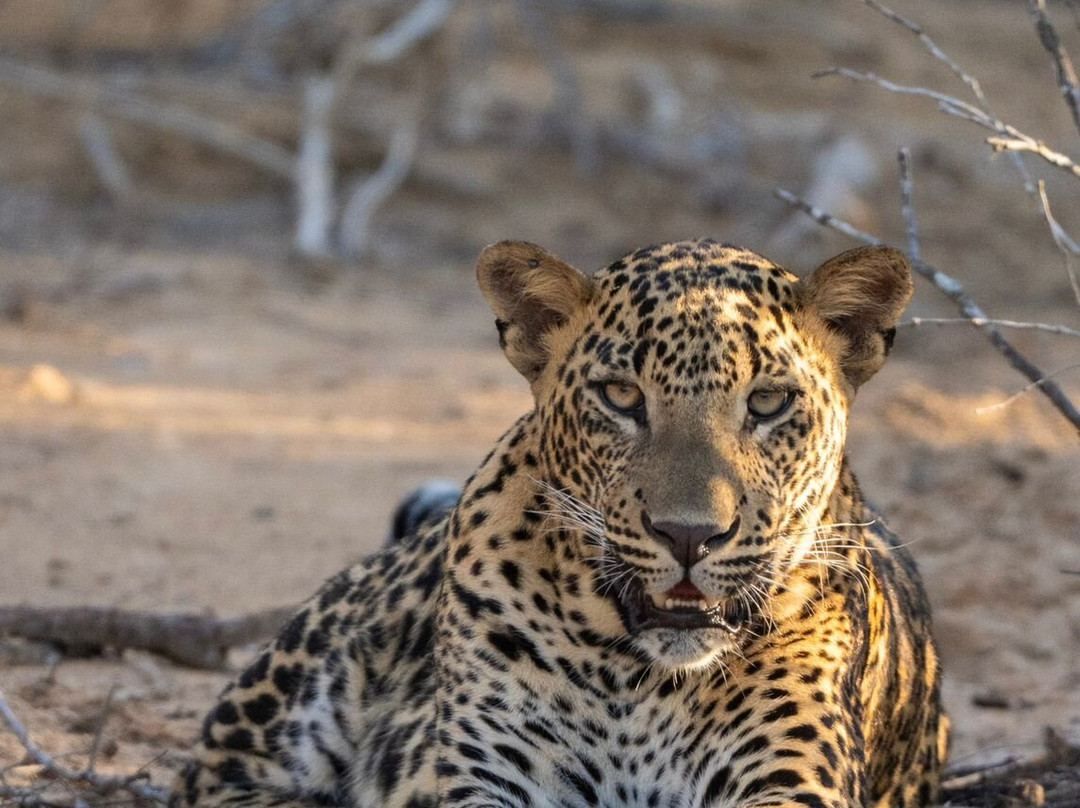 香格里-兰卡村酒店主图