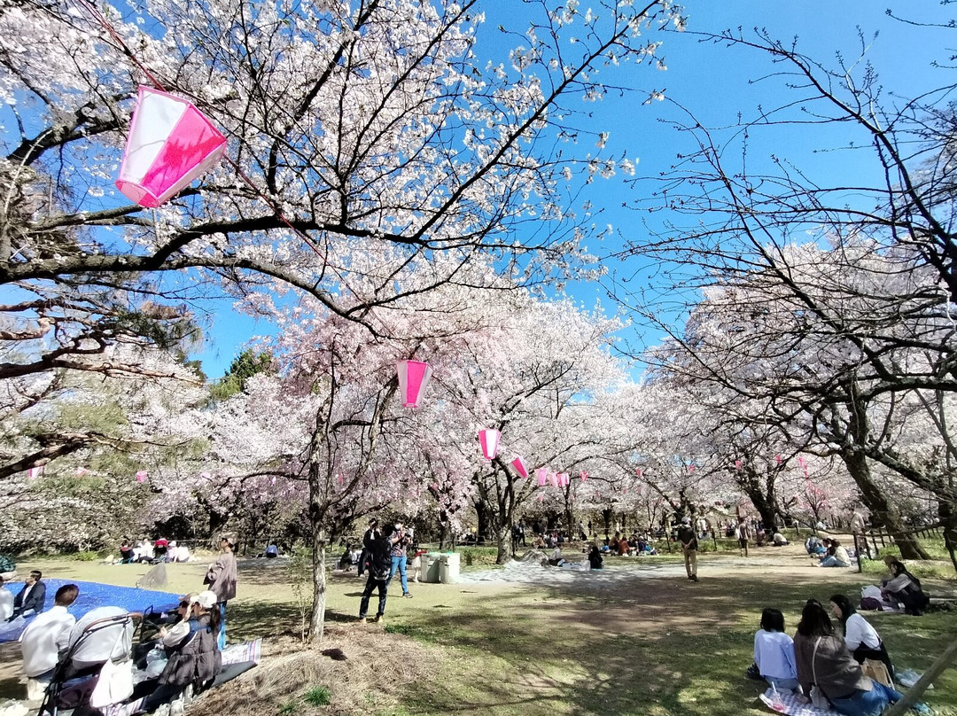 Kaikoen Garden-小诸市必去景点