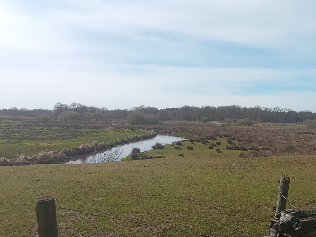 弗莱彻酒店主图