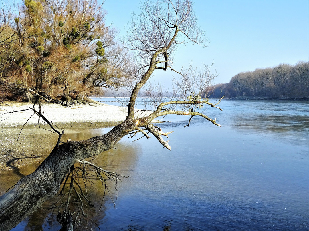 Nationalpark Donau-Auen-Orth an der Donau必去景点