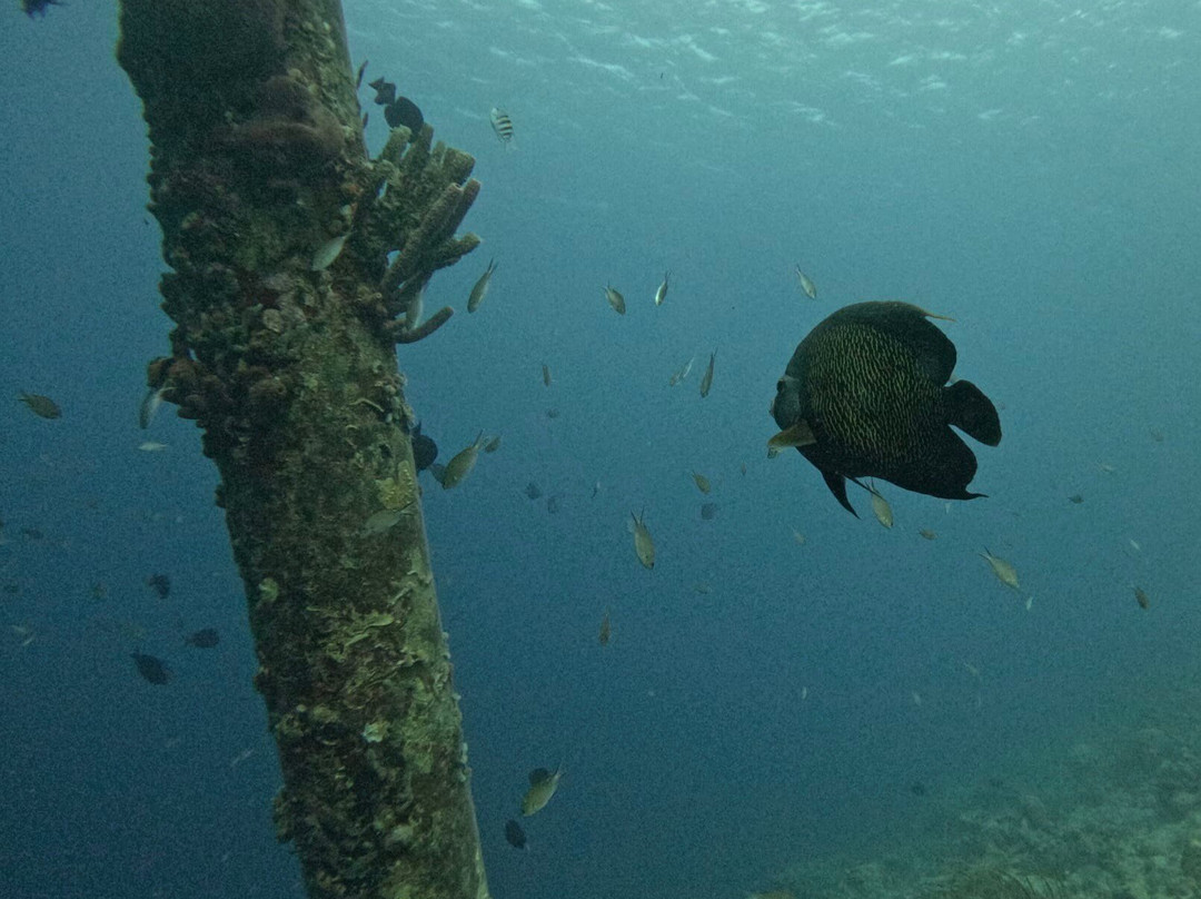 Salt Pier-Kralendijk必去景点