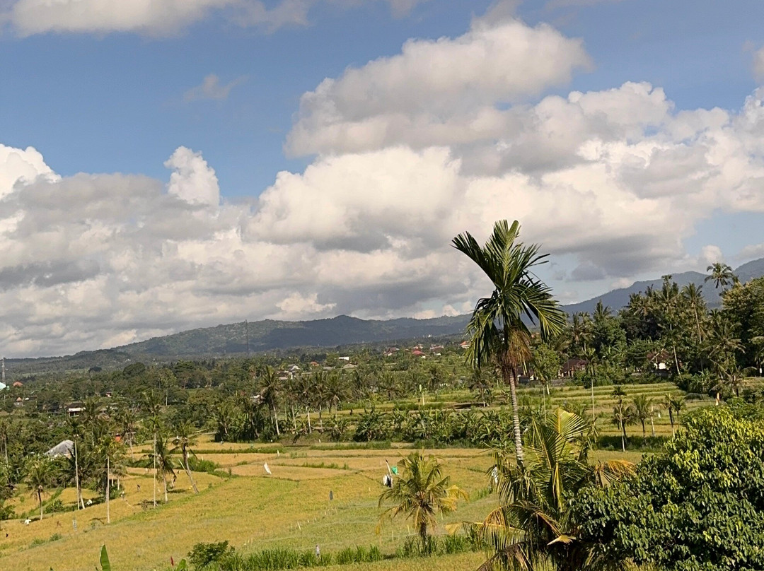 Lovina Transport Bali 007-罗威那海滩必去景点