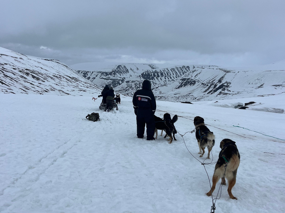 Green Dog Svalbard-朗伊尔城必去景点