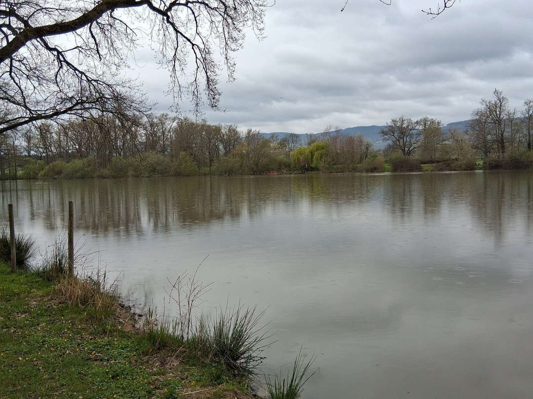 Troisgros旅馆主图