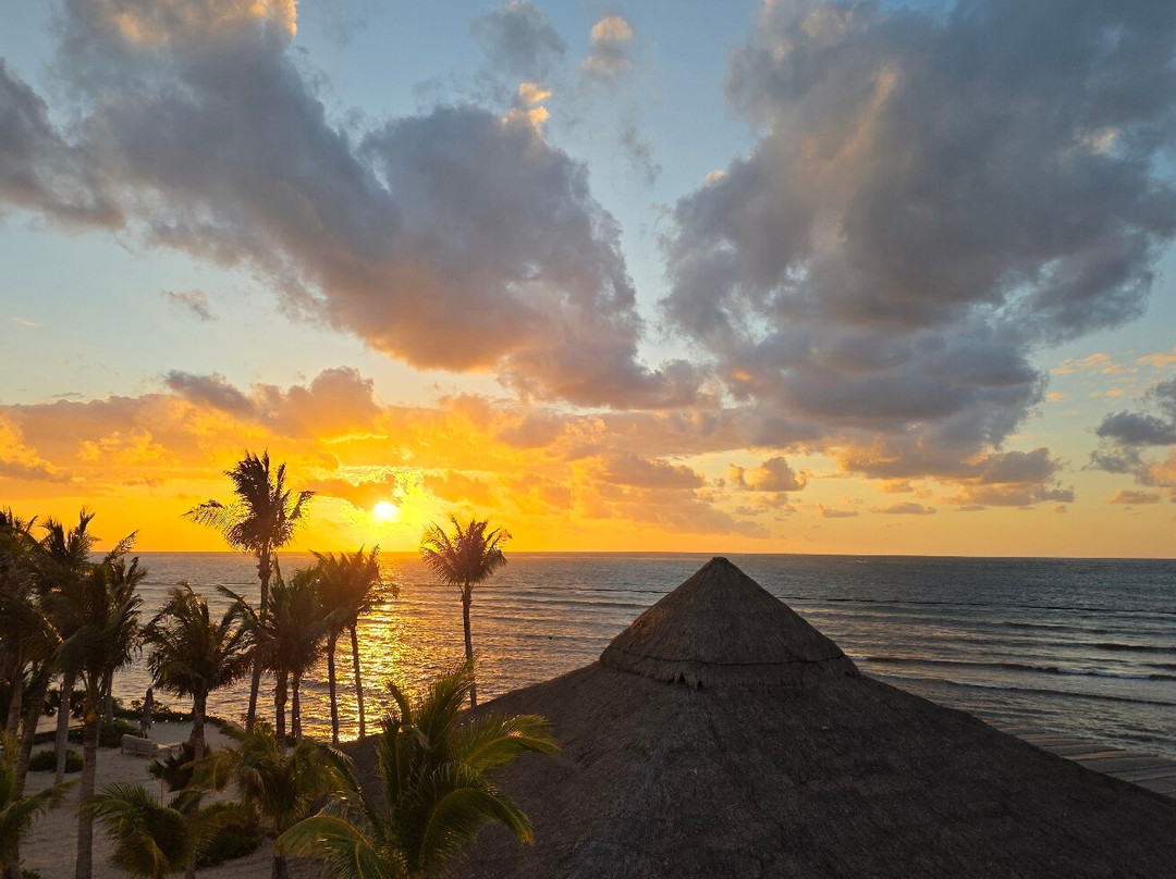 Dreams Puerto Morelos Resort & Spa主图