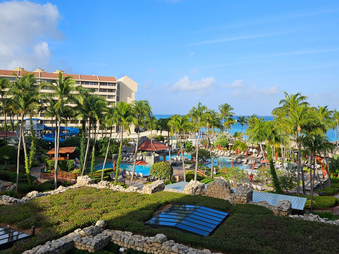 阿鲁巴岛凯悦度假酒店主图