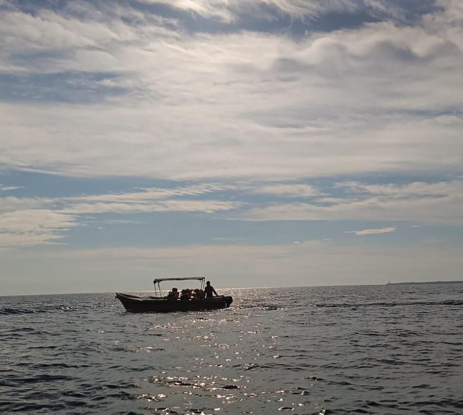 Diving Nest