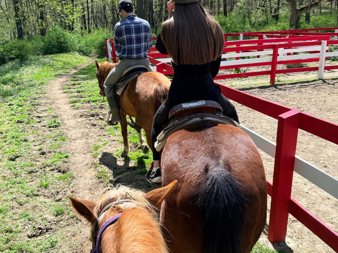 Westchester Trail Rides-Croton on Hudson必去景点