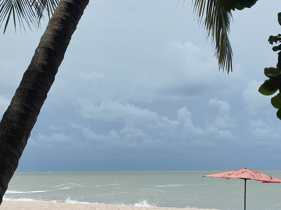 Receptivo Ecoturismo E Cultura-Joao Pessoa必去景点