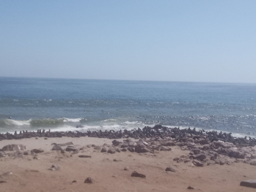 Cape Cross-Erongo Region必去景点