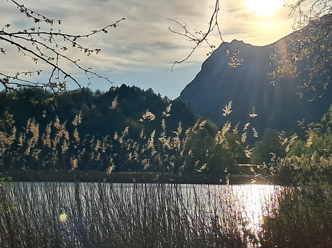 Lago di Piano-Carlazzo必去景点