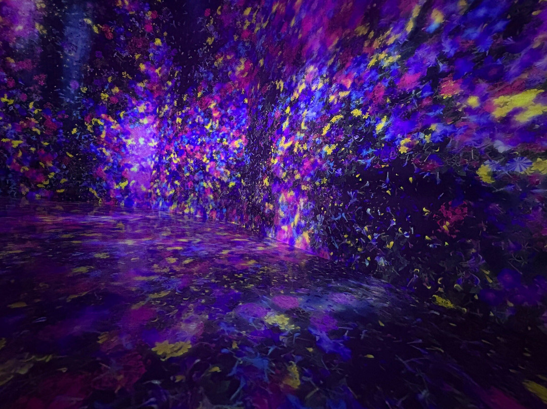 Teamlab Borderless Tokyo-港区必去景点