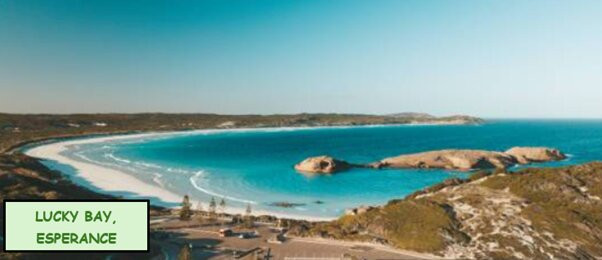 Esperance Visitor Centre-埃斯佩兰斯必去景点