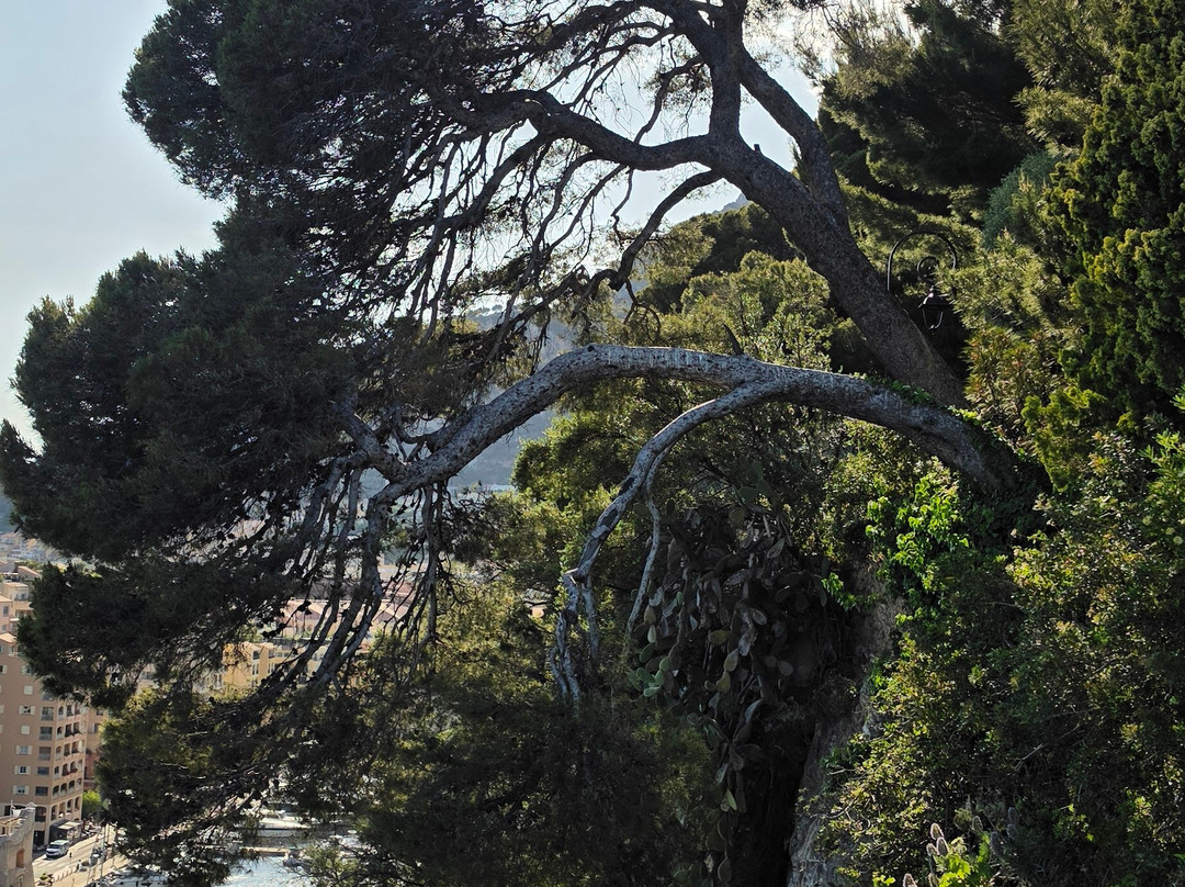 Les Jardins Saint Martin et Sainte Barbe-摩纳哥城必去景点