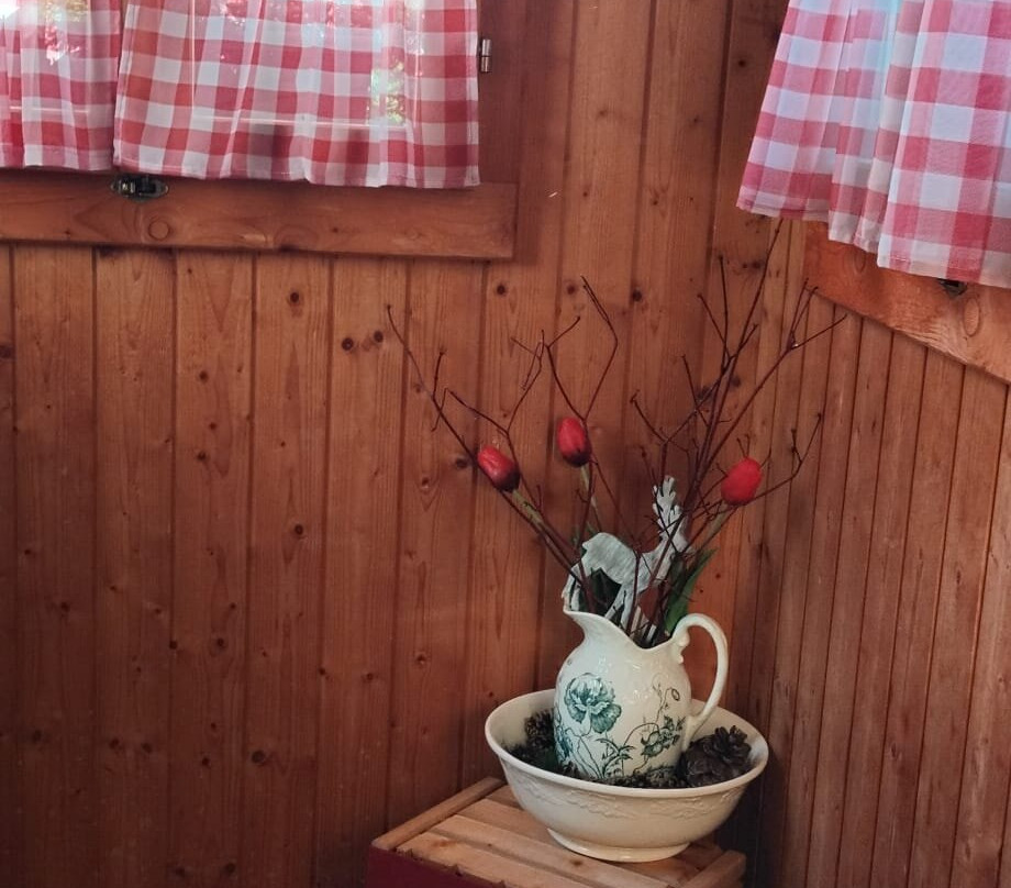 特奥酒店主图