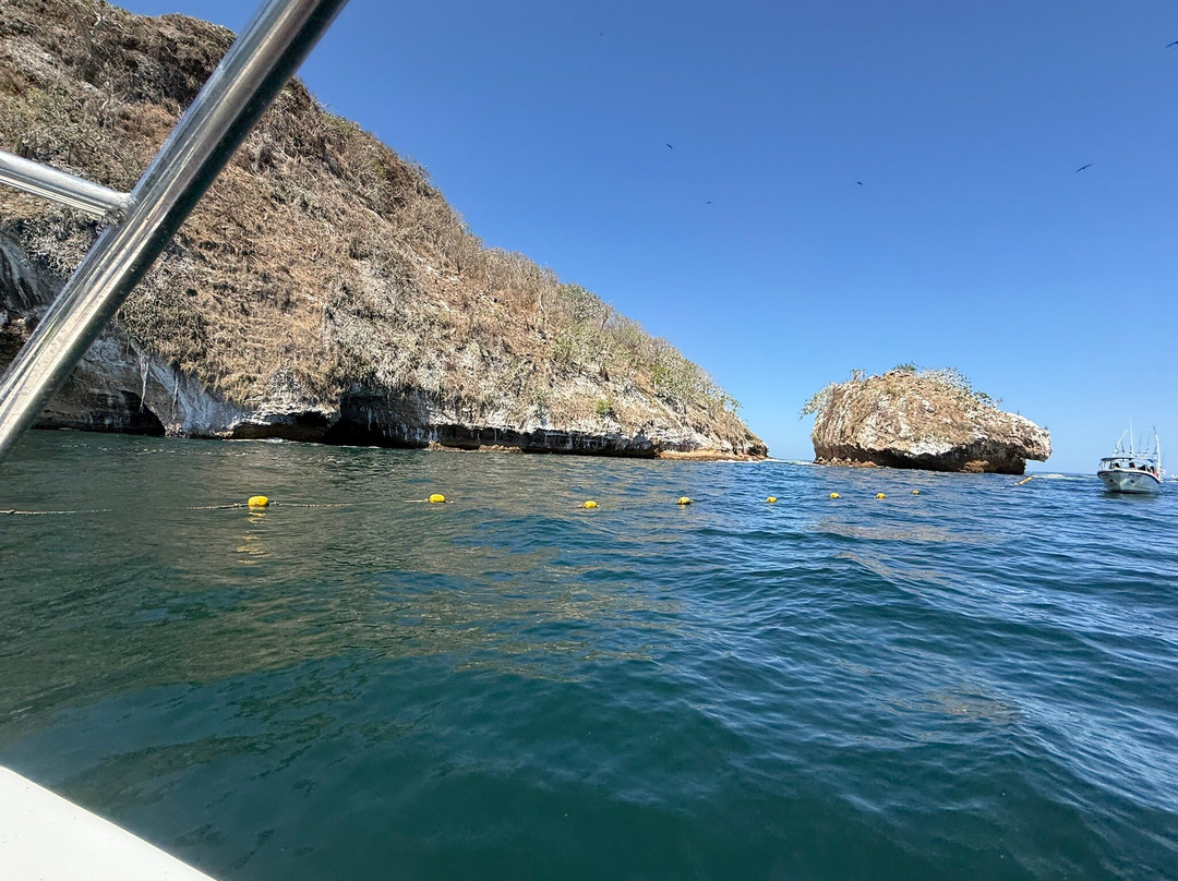 Vallarta Surf n' Dive-瓦拉塔港必去景点