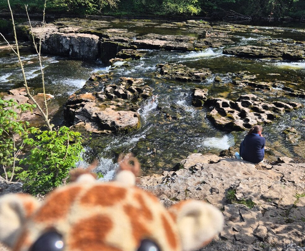 Aysgarth Falls-Aysgarth必去景点