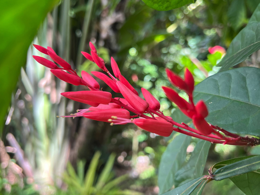 Jardin Botanique de Valombreuse-Petit-Bourg必去景点
