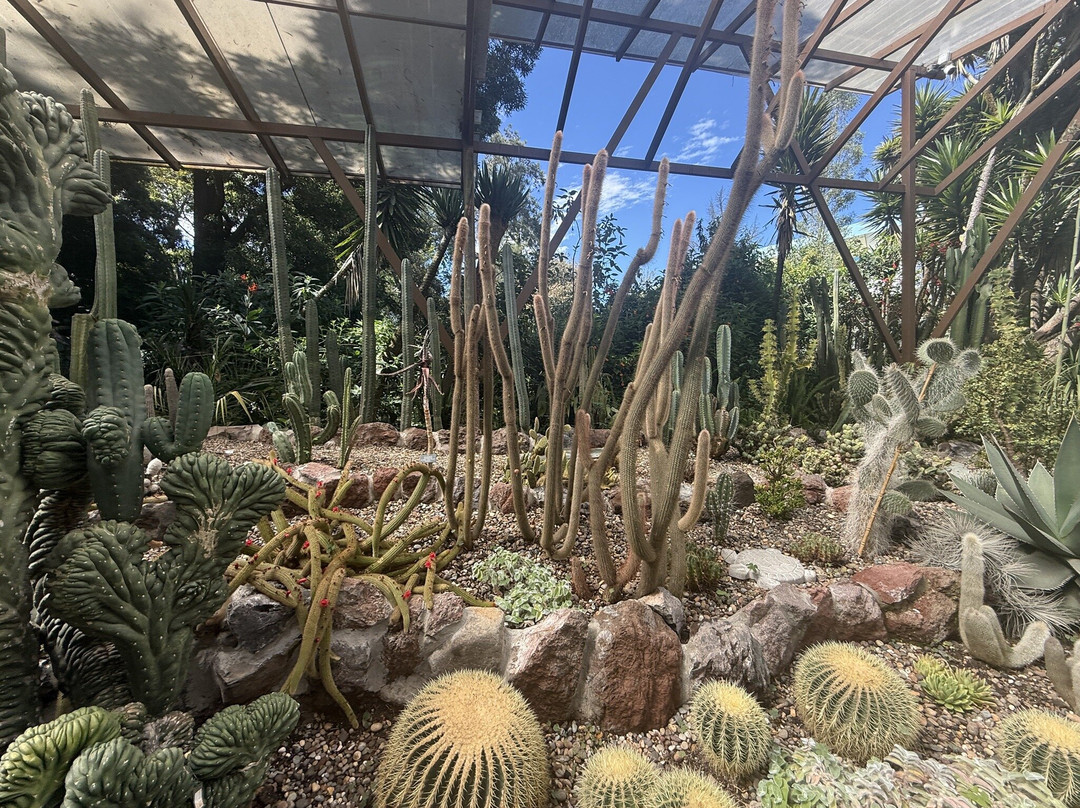 Jardín Botánico de Quito-基多必去景点