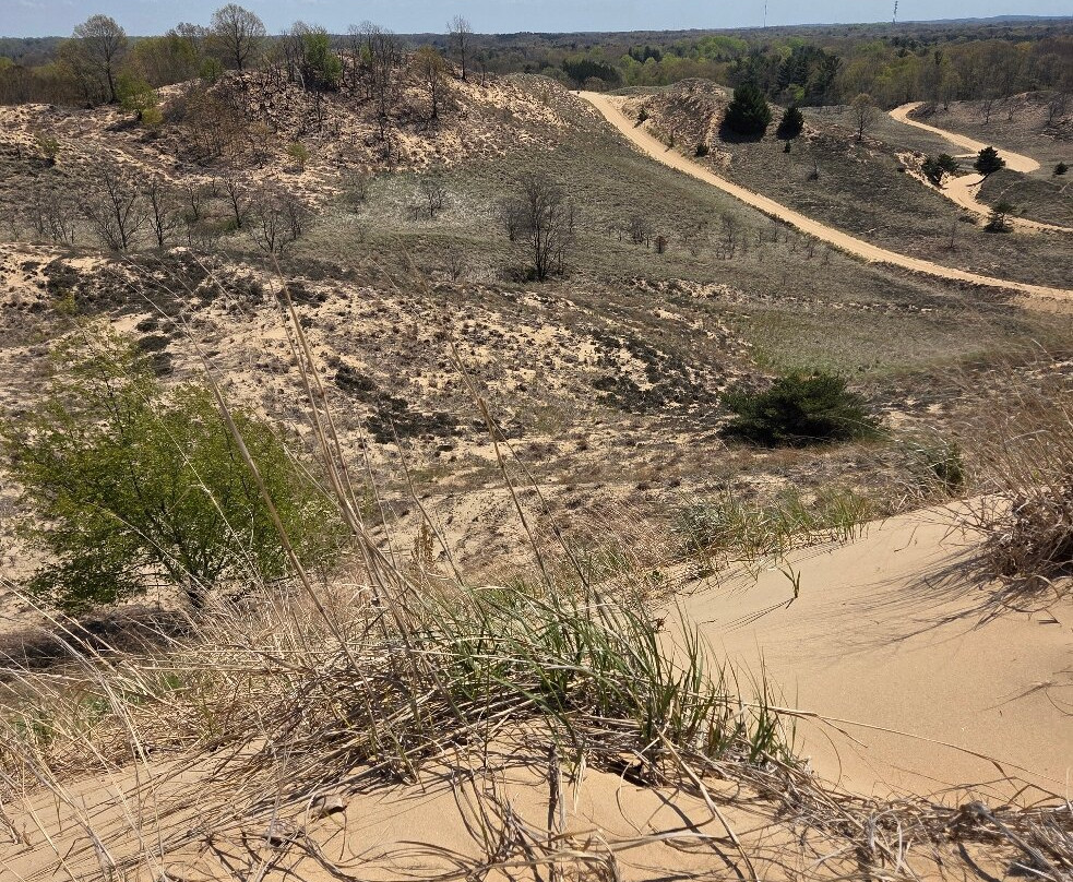 Saugatuck Dune Rides-索格塔克必去景点